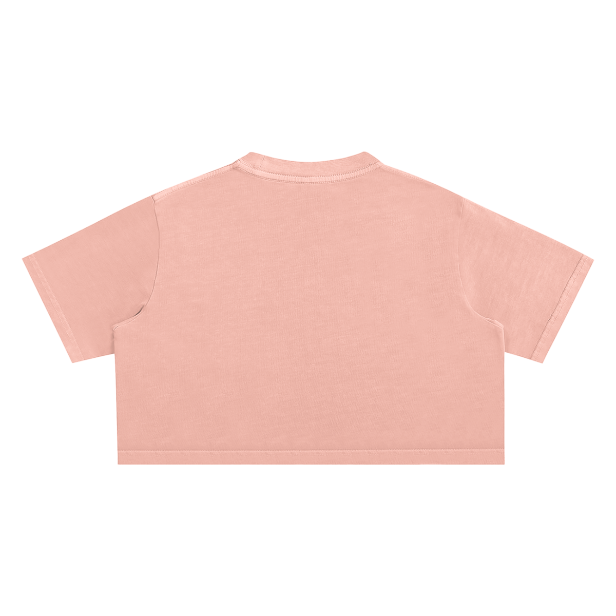 Living Dreams Snow Washed Crop Top