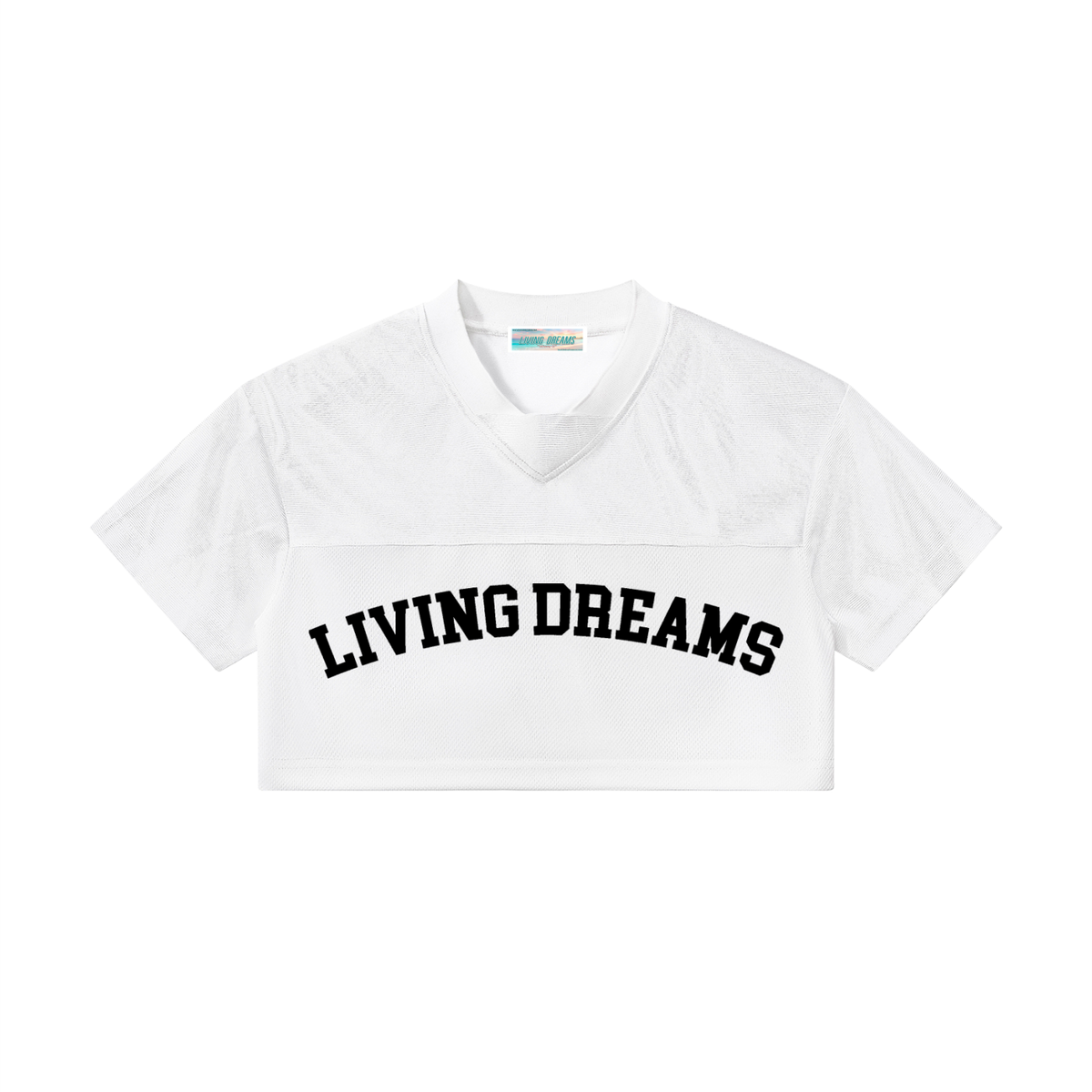 Living Dreams Women’s Cropped Paneled V-Neck Jersey